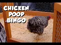 Download Lagu CHICKEN SH*T BINGO   Austin, TX