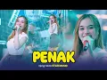 Download Lagu Ajeng Febria - Penak (Official Live Music) Tak jak healing tak jak mancing