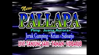 Download New Palapa Lawas _ Lusiana Safara_Teman Biasa 👍 MP3