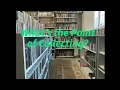Download Lagu What Is My Purpose Of Collecting a 12,000 CD Library in 2025 ?
