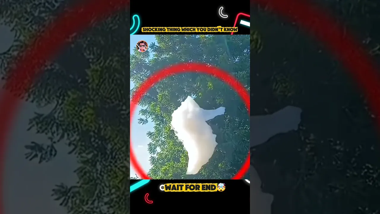 #dublagem