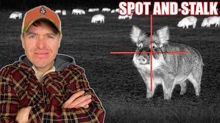 Hunting Down Americas Most Destructive Pest!