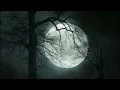 Download Lagu Forest Full Moon Night Sounds Wolf Owl Crickets Nature Ambience Sleep ASMR Meditation Healing