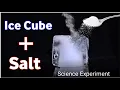 Download Lagu Easy Science Experiment in Home | ice Science Trick | Ice Cube + Salt Trick | #shorts