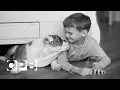 Hacking Your Mind How is this dog smarter than this boy