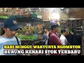 Download Lagu WAKTUNYA NGOMBYOK BURUNG KENARI HARGA TERBARU STOK TERBARU DIPASAR BURUNG PRAMUKA KIOS KASMIN