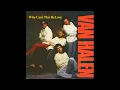 Van Halen - Why Can't This Be Love (1986) HQ