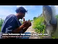 Semudah ini mancing liaran di lamongan saat musim banjir padahal spotnya cuma tepi jalan