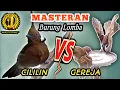 Download Lagu CILILIN VS GEREJA TARUNG - Masteran Istimewa Untuk Burung Lombaa