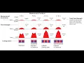 Focusing Magnetic Fields Halbach vs Back Iron