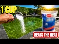 The Secret 1-Cup Fix That Saves Your Pool From August Heat