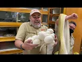 EXPLODING Snake Eggs Slime Reticulated Python Egg explosion