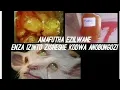 Download Lagu Ubuhle_kanye_nobubi_bokthaka_ngamafutha_ezilwane