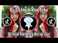 Download Lagu DJ SA INGIN KAU TAHU DJ VIRAL TIKTOK YANG KALIAN CARI