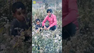      دندنها