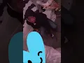 unseen footage of Paris Harvey and her older cousin Kuaron shortly before the incident