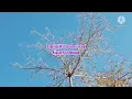 Download Lagu lagu lampung bismillah