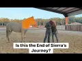 Kill Pen bucking bred horse gets New Owner is the Right fit