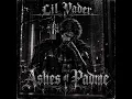 Lil Vader - Ashes of Padme