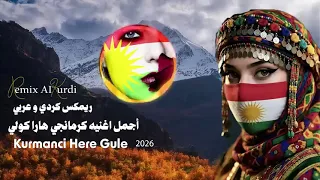   أجمل اغنيه ترند جديد      كرمانجي هارا كولي ريمكس كردي و عربي                                   دندنها
