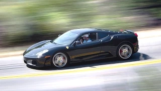 Ferrar Picture