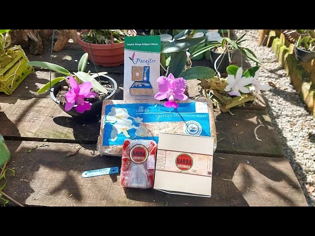 ESFAGNO E ADUBO PARA ORQUÍDEAS