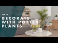 How To Decorate With Indoor Plant Pots - Bunnings Warehouse