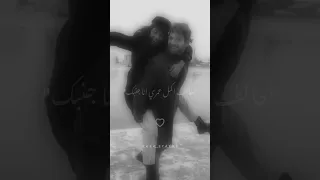 يا بنت القلب بحبك مهرجانات حب 2023 عصام صاصا الكروان 2023 حالات وتس2023 