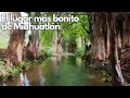 Download Lagu Explorando un paraíso escondido en Miahuatlán