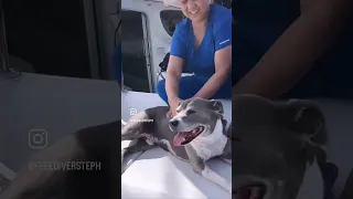 My 14yr old pup has cancer that is inoperable.Thank you Zeaky for making every day a beautiful day💔