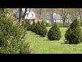 Max Engle Remembrance Garden