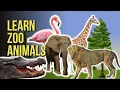 Download Lagu Zoo animal pictures with sounds and names for babies \u0026 toddlers