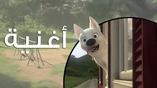 بيتك أجمل مهما يكون بولت 