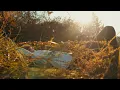 Download Lagu keshi - War With Heaven (Music Video)