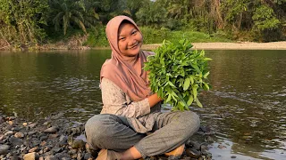 kompilasi vidio pitaahrld | berpetualang & masak 🍃🏔️✨ #pitaahrld #berpetualang 