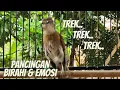 Download Lagu PANCINGAN SUARA KRETEKAN SRDC NYEKLEK - PENAMBAH BIRAHI EMOSI SRDC BAHAN GACORAN
