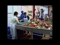 Tumey s Travels Boiling Crabs At Tony s Seafood