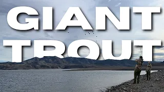Epic Eastern Washington Trout Fishing Catch Cook With Samong Outdoors