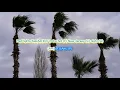 Hurricane by Bob Dylan play along with scrolling guitar chords and lyrics