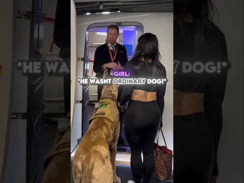 She Bring A Huge Dog in Airplane😭😱