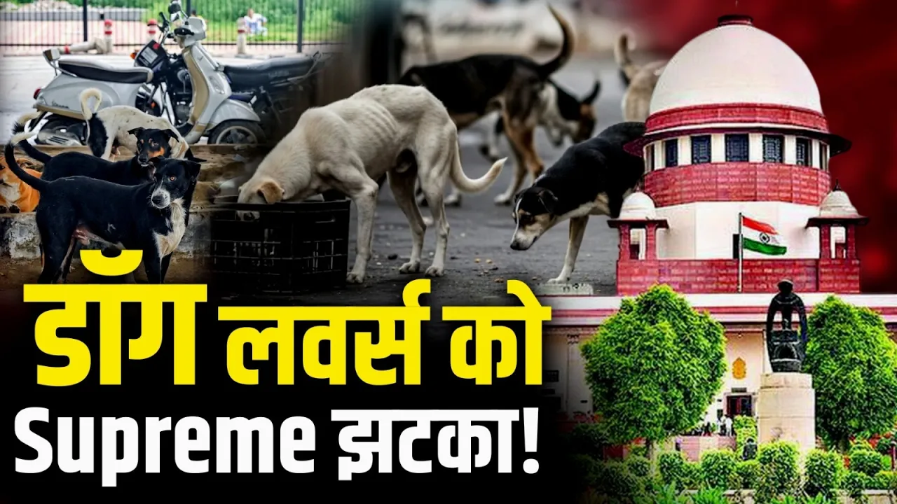 Supreme Court On Stray Dogs: बढ़ते डॉग बाइट केस पर SC सख्त, याचिका को किया खारिज! Breaking