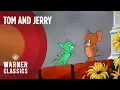 Download Lagu Tom and Jerry | Smitten Kitten (1952 Full Episode) | Warner Classics