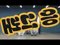KickFlip - 'Umm Great' Dance Practice [MIRRORED]