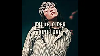 Billie Eilish Wildflower As Ringtone 2024 Wildflower Billieeilish Ringtone 