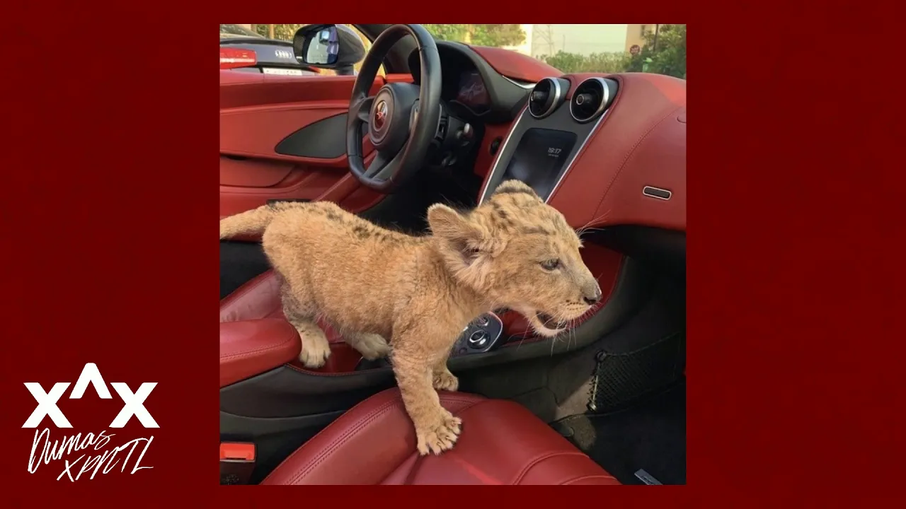 [FREE] Fat Dave X MoneyMarr X FMBLongmoney Type Beat - "Block 4" | DumasXPNTL