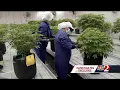 Trulieve CEO talks economic impacts of legalizing recreational marijuana in Florida