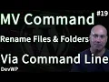 LEARN the Command - Rename Files