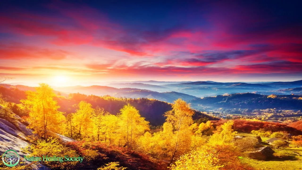 GOOD MORNING MUSIC ➤ 528Hz NEW FRESH Wake Up Meditation Music