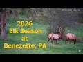 Elk Cam in Benezette PA