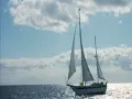 50 First Dates - Wouldn't It Be Nice (The Beach Boys)